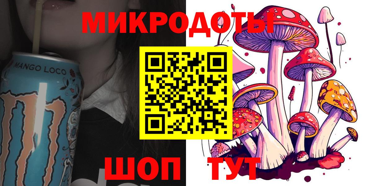 Гусев  Псилоцибиновые грибы прущие грибы  Псилоцибиновые грибы прущие грибы  Вход с VPN 